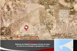 Alwar prestige - Bambilor