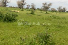 Terrain Agricole de 1,96 hectare à Ngaye Ngaye