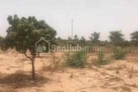 terrain agricole de 3 hectares à keur matouré