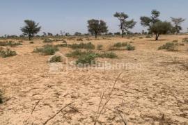 Terrain Agricole de 3021 m² à Keur Amary Coumba
