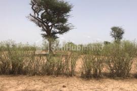 Terrain Agricole de 2160 m² à Tassette