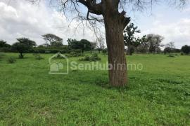 Terrain Agricole de 1,05 hectare à Tassette