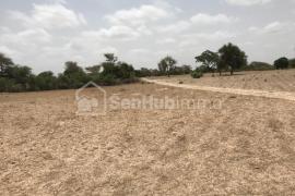 Terrain Agricole de 8223 m² à Notto Diobass