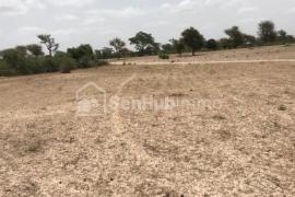 Terrain Agricole de 8223 m² à Sangane Wolof