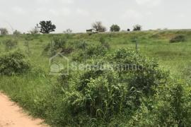Terrain Agricole de 23,49 hectares à Keur Malamine