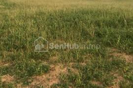 Terrain Agricole de 2,52 hectares à Thiènaba Diop