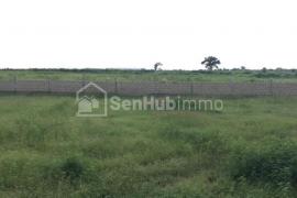 Terrain Agricole de 1,53 hectare à Mbodiène