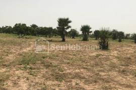 Terrain Agricole de 1,16 hectare à Keur Mamarame