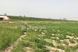 Terrain Agricole de 5885 m² à Thiénabat