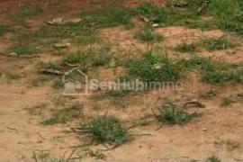 Ferme Agricole de 2500 m² à Keur Moussa