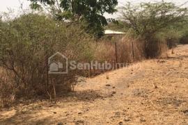 Terrain Agricole de 1,11 hectare à Sindia