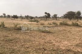 Terrain Agricole de 7,05 hectares à Koul