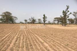 Terrain Agricole de 10 hectares à Tassette