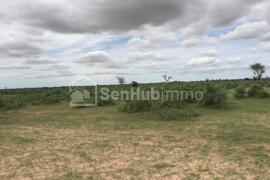 Terrain Agricole de 1,05 hectare à Tassette