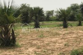 Terrain Agricole de 1,16 hectare à Keur Mamarame