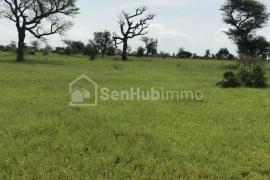 Terrain Agricole de 5 hectares à Khombole