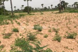 Terrain Agricole de 2,29 hectares à Keur Mamarame
