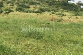 Terrain Agricole de 1,62 hectare à Toubab Dialaw