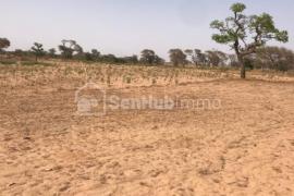 Terrain Agricole de 2146 m² à Keur Cheikh Madiop