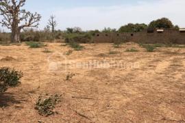 Terrain Agricole de 6450 m² à Khaye