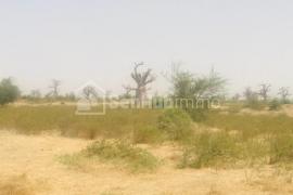 Terrain Agricole de 07 hectares à Nguéniène