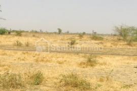 Terrain Agricole de 7,87 hectares à Ngueniene