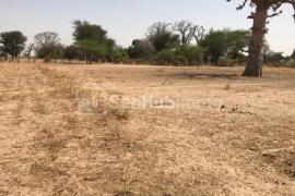Terrain Agricole de 2,66 hectares à Sésséne