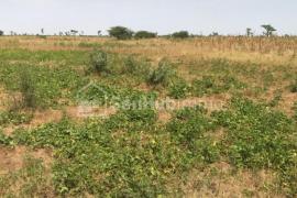 Terrain Agricole de 1,15 hectare à Sandiara