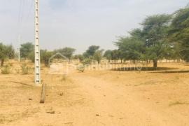 Terrain Agricole de 03 hectares à Koul