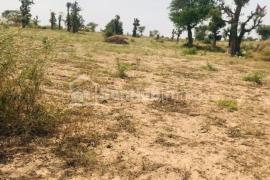 Terrain Agricole de 1,63 hectare à Pire