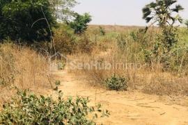 Terrain Agricole de 1,22 hectare à Yénne