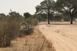 Terrain Agricole de 1,06 hectare à Tassette