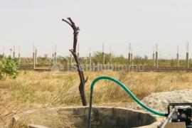 Verger Agricole de 3,01 hectares à Ngueniene