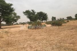 Terrain Agricole de 13,74 hectares à Tassette