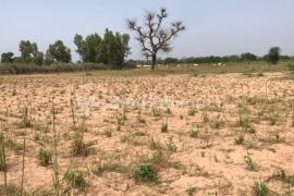 Terrain Agricole de 6156 m² à Sésséne