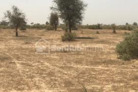 Terrain Agricole de 100 hectares à Koul
