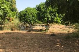 Verger Fruitier de 9051 m² à Fatick