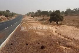 Terrain Agricole de 14 hectares à Diokoul Dieuwrigne