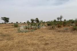 Terrain Agricole de 5,15 hectares à Cherif Lô