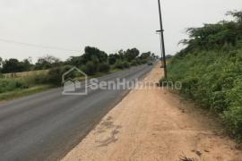 Verger Fruitier de 8,23 hectares à Sindia