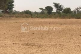 Terrain Agricole de 1,51 hectare à Tassette