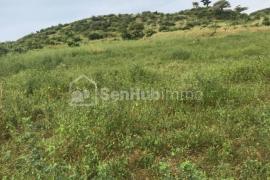 Terrain Agricole de 1,62 hectare à Toubab Dialaw