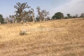 Terrain Agricole de 9,44 hectares à Touba Toul