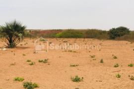 Verger Agricole de 6,09 hectares à Diass