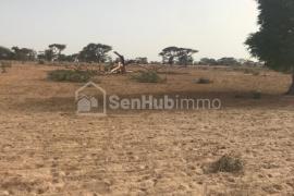 Terrain Agricole de 2,26 hectares à Tassette