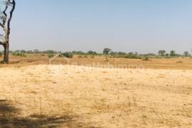 Terrain Agricole de 1,64 hectare à Tassette