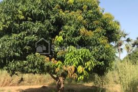 Ferme Agricole de 1,3 hectare à Fimela