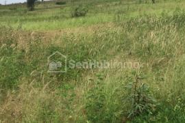 Terrain Agricole de 1,07 hectare à Ndiaganiao