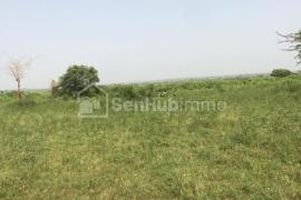 Terrain Agricole de 1,55 hectare à Mont Rolland