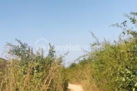 Terrain Agricole de 4 hectares à Diass